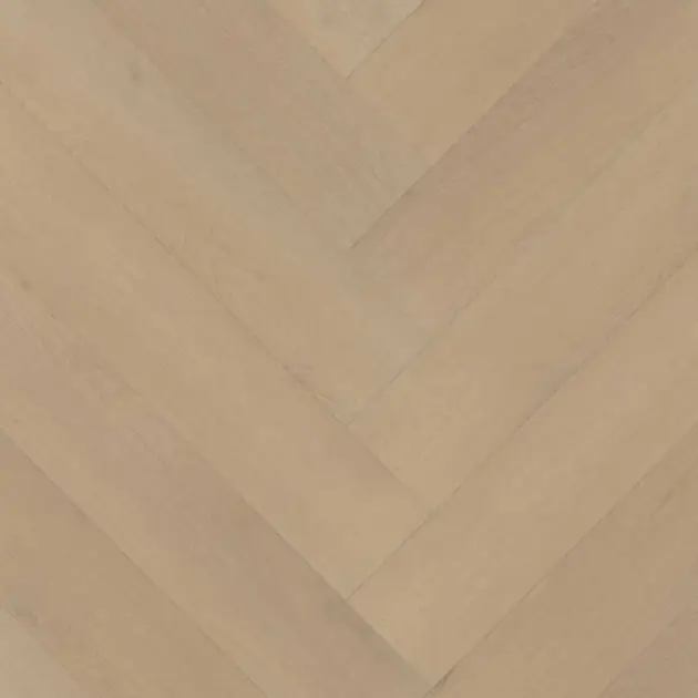 Belakos Palazzo 77 Visgraat XL Dryback