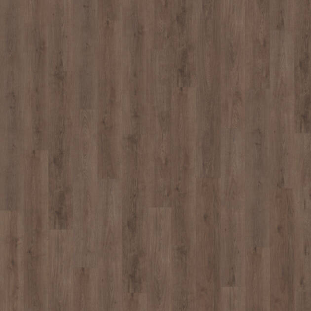 Belakos Monastro 900