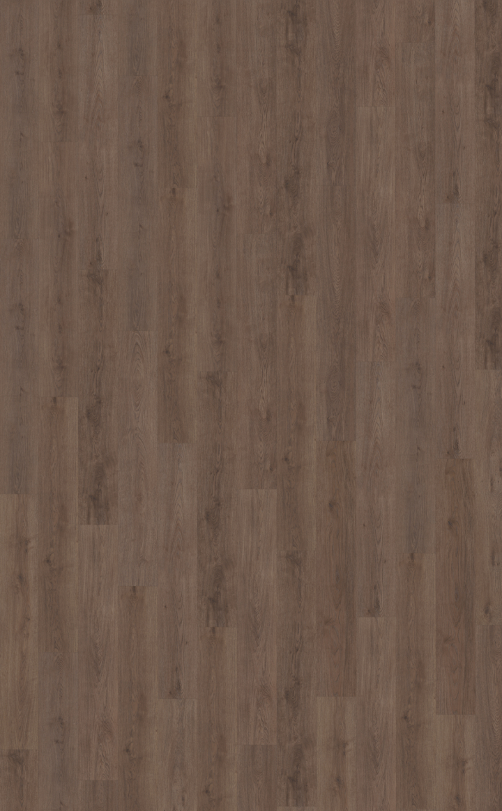 Belakos Monastro 900