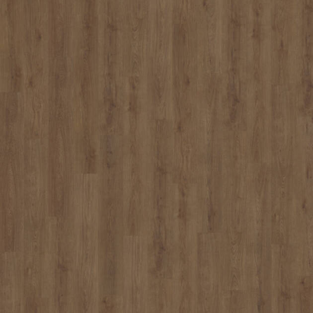 Belakos Monastro 910