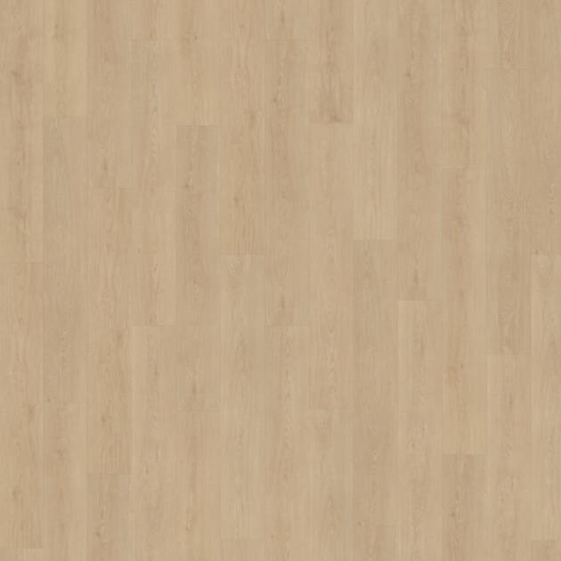 Belakos Monastro 920