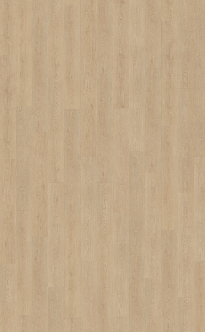 Belakos Monastro 920