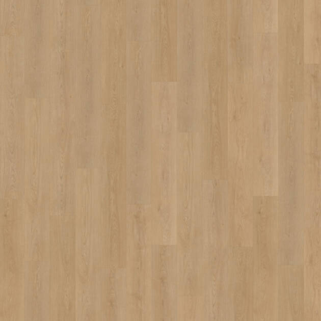 Belakos Monastro 930