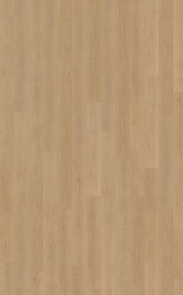 Belakos Monastro 930